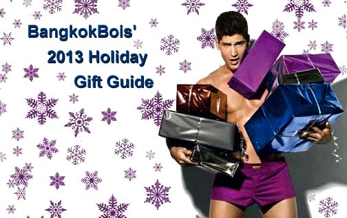 2013 holiday gift guide