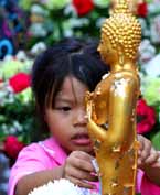 Bonus Shot Wat Pho Gold-Leaf Kid